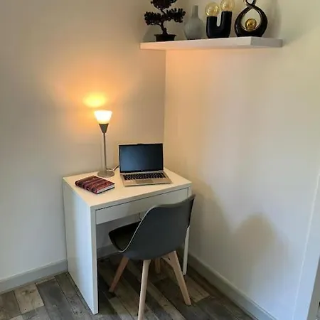 Apartment In Der Naehe Des Paul Constans Lycee