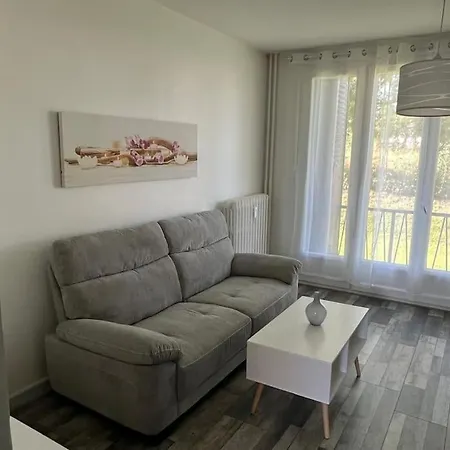 Apartment In Der Naehe Des Paul Constans Lycee *